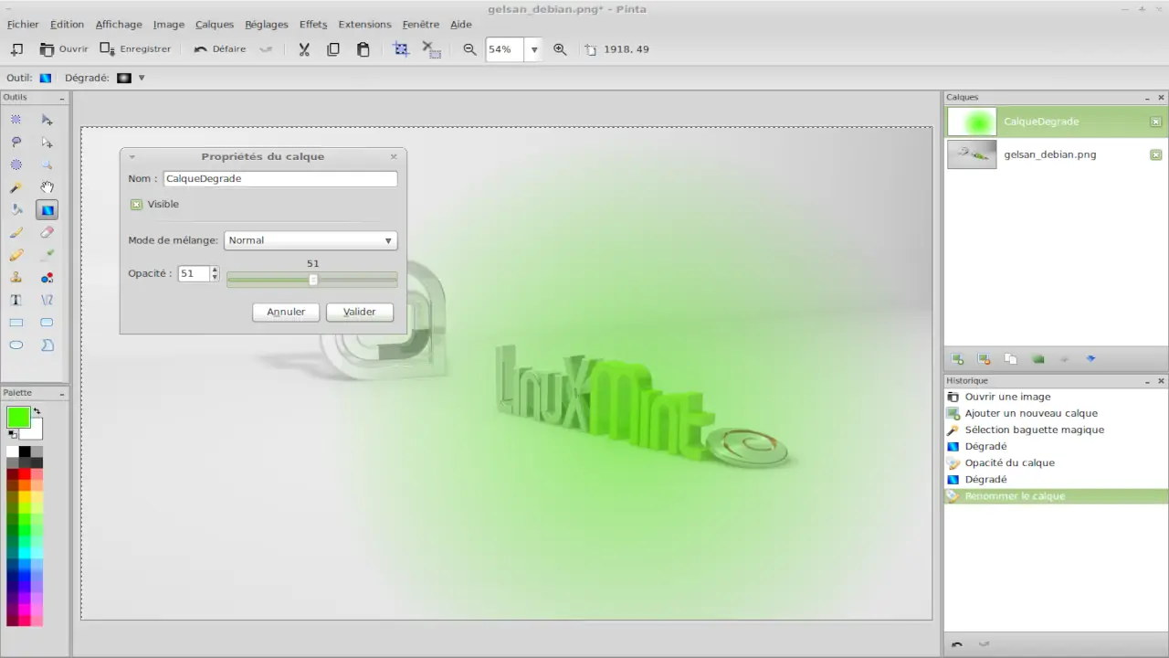 Pinta, un éditeur d'image pour Linux Mint.